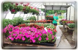 Blooming Patio Container